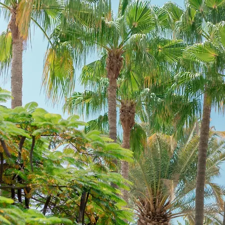 Lejlighed El Palmar *
