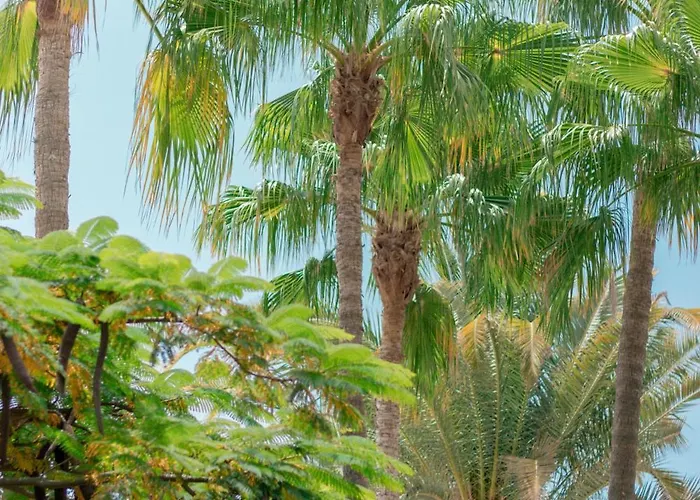 Апартаменти El Palmar *